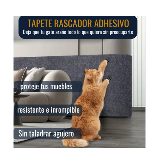 Alfombra resistente a los arañazos