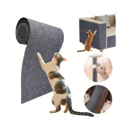 Alfombra resistente a los arañazos